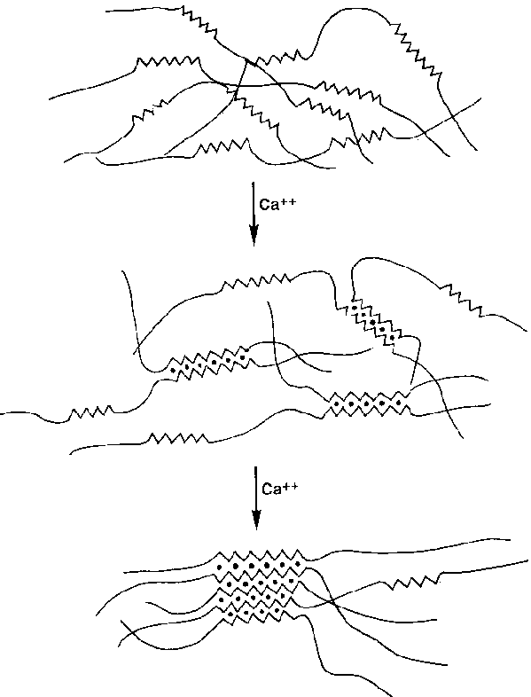 external image X4itfYozopRq2x582UPjh2